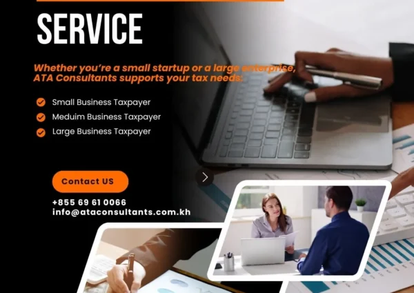 Tax Declaration Services